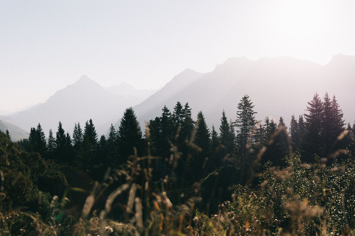 summer moods (c) kirstin hauk-80-quer.jpg