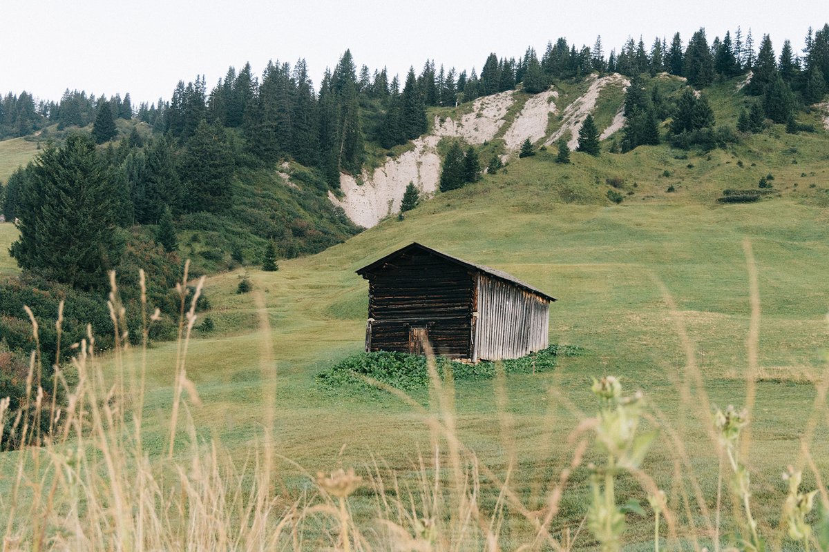 summer moods (c) kirstin hauk-9-quer.jpg
